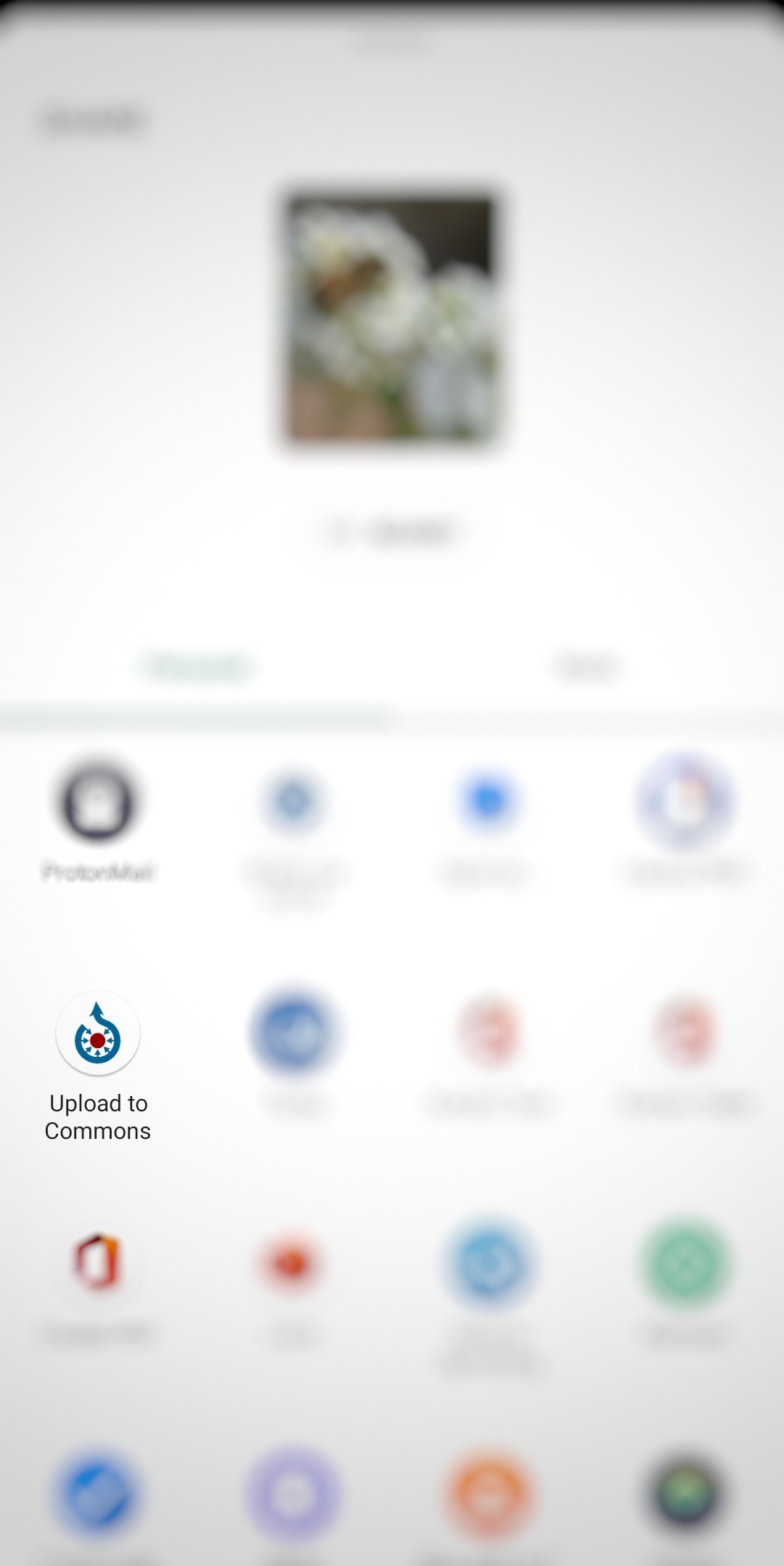 Commons app in the list of apps to share an image.